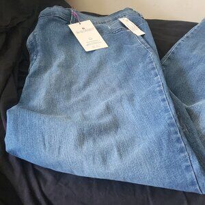 Womens Gloria Vanderbilt Plus Size Amanda Jeans Stretch 22W